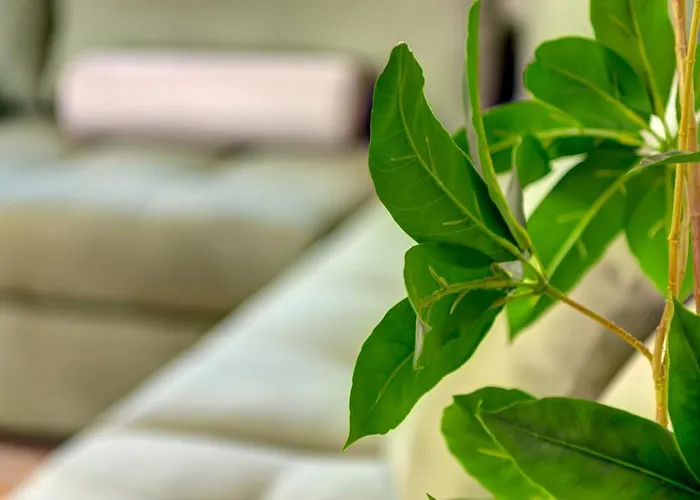 Elysia House Posidhonía