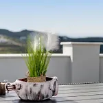 Elysia House