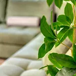 Elysia House Posidhonia (Syros)