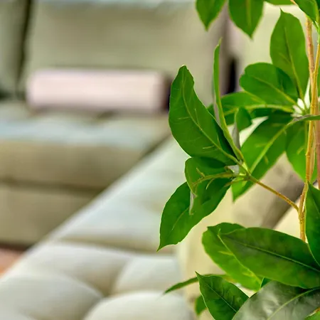 Elysia House Posidhonía